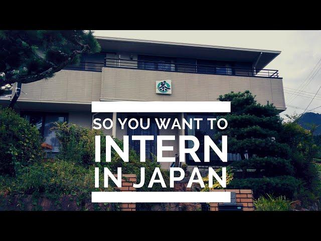 So you want to intern in Japan - Obubu Tea Farms