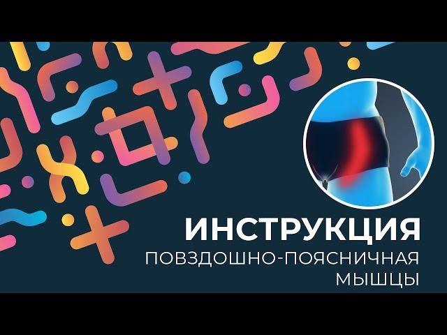 Kinexib - тейпирование повздошно-поясничной мышцы