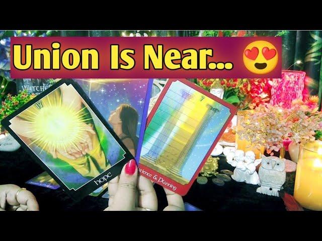 Divine Masculine Current Feelings Next Action Twinflame Energy️ Timeless Tarot Reading In Hindi