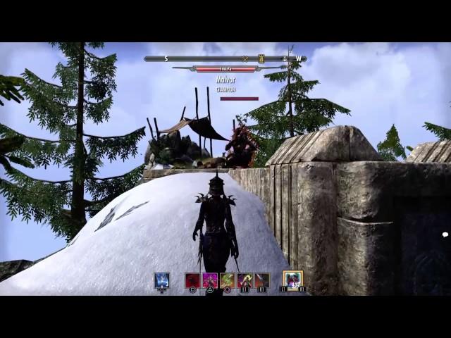 The Elder Scrolls Online:cyrodill White mountain pass