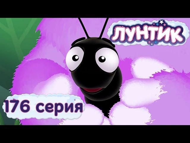 Лунтик и его друзья - 176 серия. Плохая примета