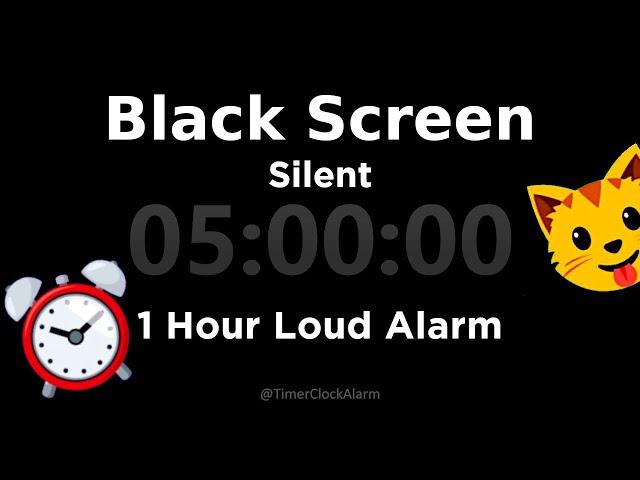 Black Screen  5 Hour Timer (Silent) 1 Hour Loud Alarm | Sleep and Relaxation