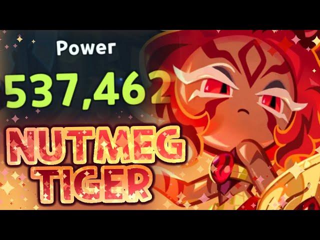 INSANE Fire Support! BUT HOW META is Nutmeg Tiger Cookie? (Review)