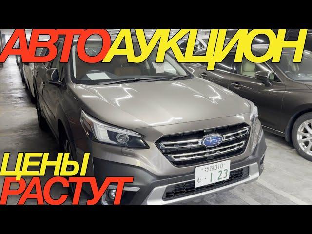 УТИЛЬ СБОР ЯПОНЦЫ ТЕПЕРЬ БЕЗ РАБОТЫ / TOYOTA SIENTA HONDA VEZEL SUBARU LEVORG OUTBACK CROWN MAJESTA