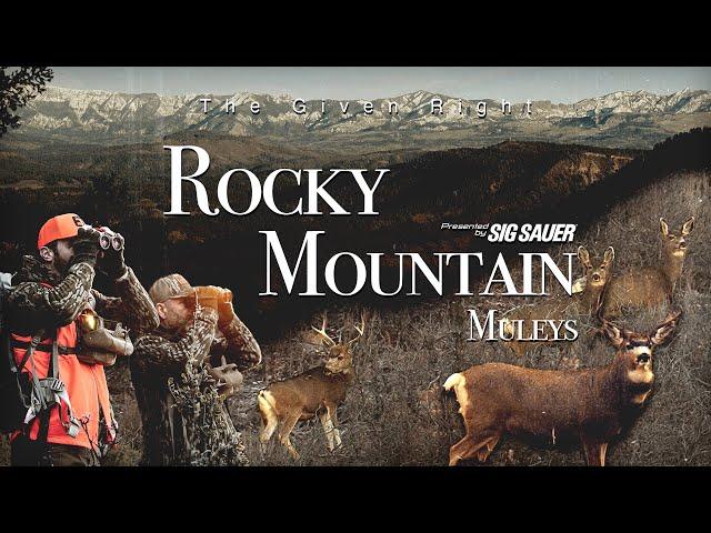 Rocky Mountain Muleys: Presented by Sig Sauer | Long Range Mule Deer Hunting in the High Country