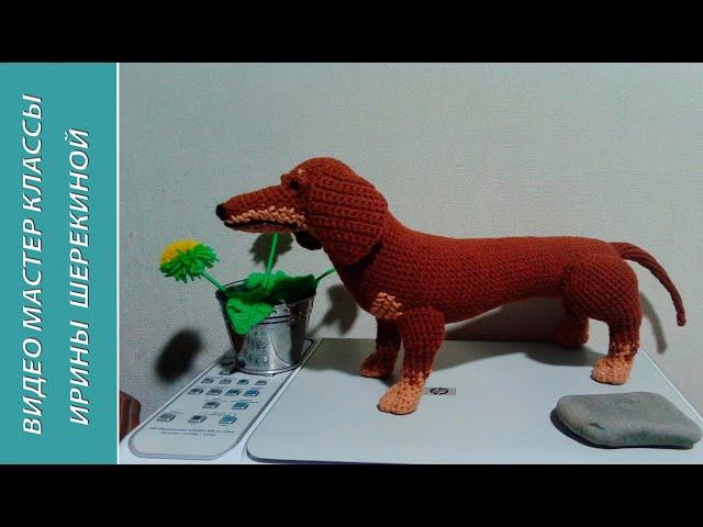 Как связать собаку Такса! ,ч.1. Dachshund is a hunting dog!, р.1. Amigurumi. Игрушки крючком.