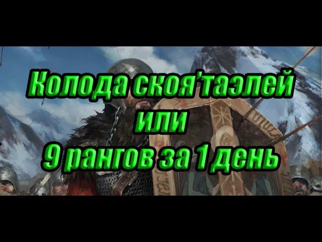 Колода Скоя'таэлей взявшая топ-30 за 1 день (Патч  0.9.6). Гайд.