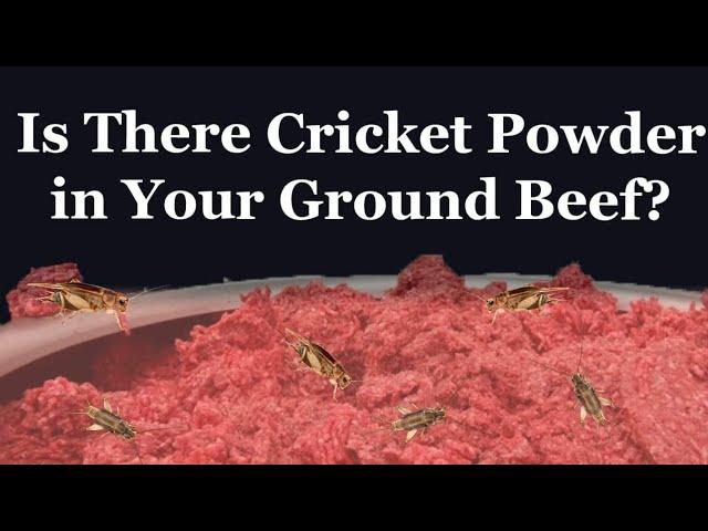 Is There Cricket Powder In Your Ground Beef?