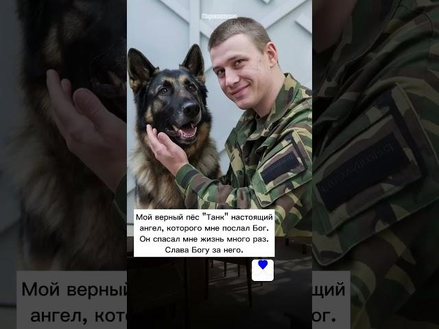 @Perspective_Russia Настоящий ангел #перспектива - новости сегодня