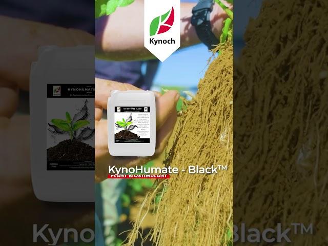 KynoHumate Black is the secret weapon to healthy soil | Kynoch