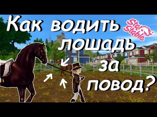 Как научить лошадь водить за повод? | Star Stable