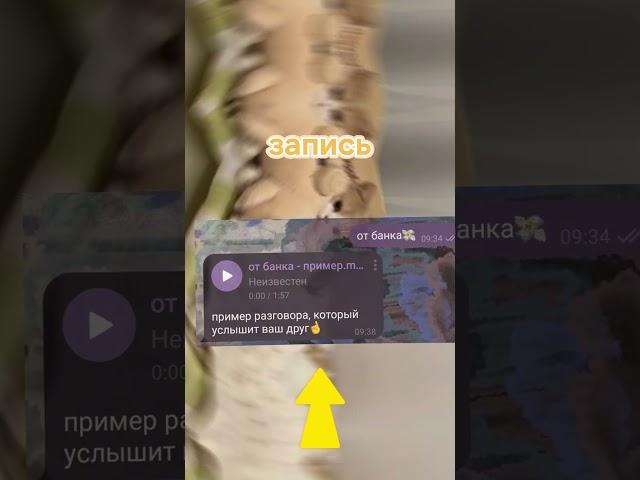 Пранк бот в каждом телефоне #пранкбот #приколыпотелефону #телега #втренде #2024 #друзья #кобяков