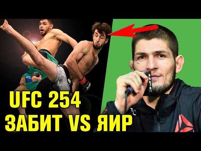 Хабиб ПРО БОЙ Магомедшарипов Родригес! МОЩНЫЙ турнир UFC 254