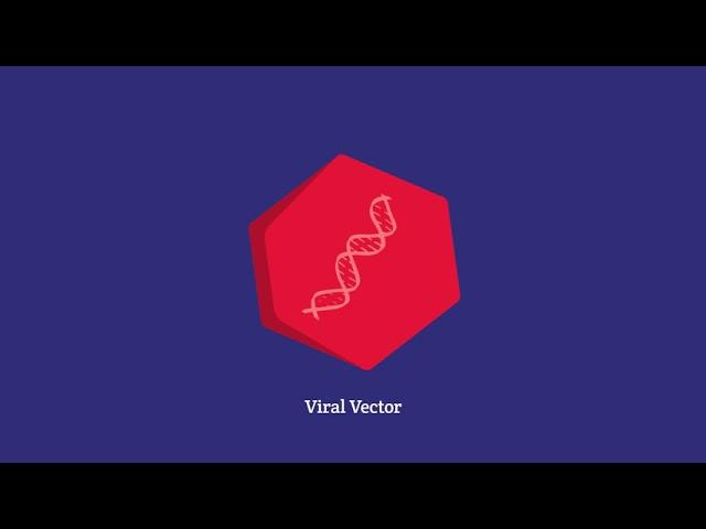 Gene Therapy for GM1 Gangliosidosis