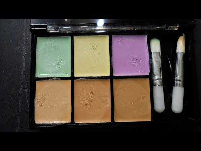 PROFUSION ABSOLUTE CONCEALER MINI KIT REVIEW/SWATCHES!