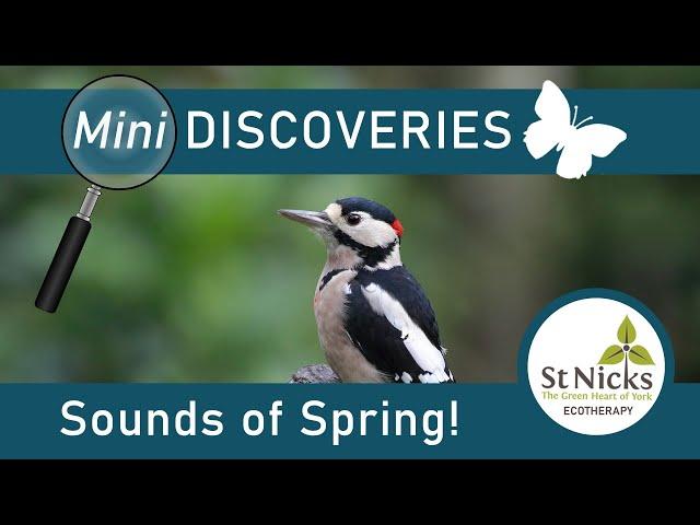 Sounds of Spring!