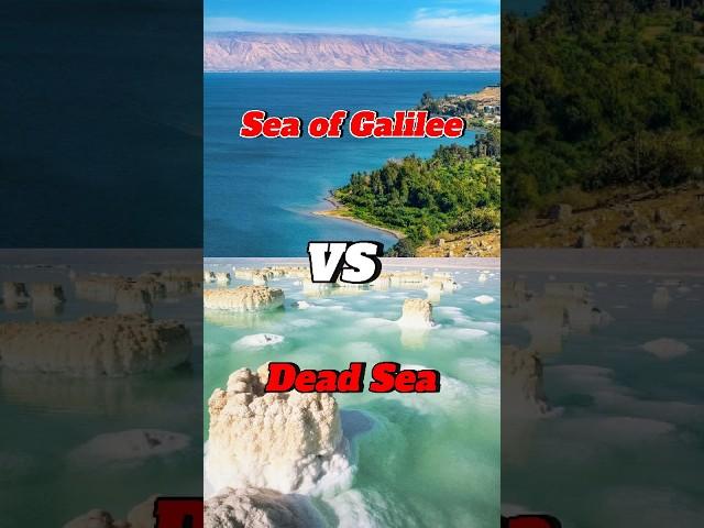 What Makes the DEAD SEA So DIFFERENT?  #bible