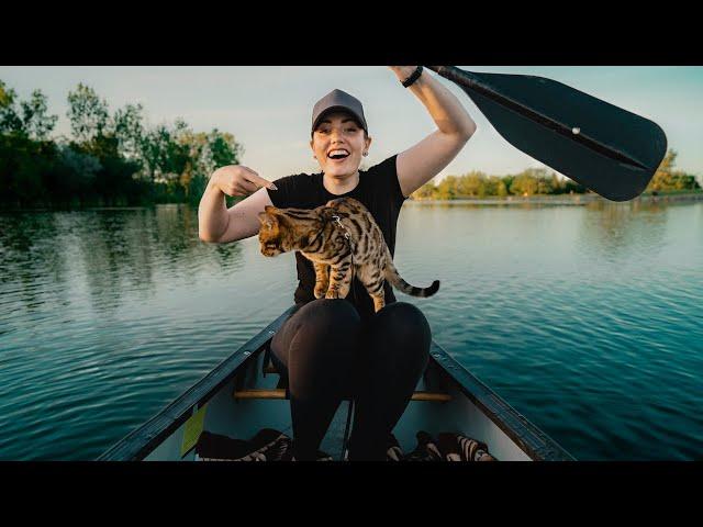 HOW TO TRAIN AN ADVENTURE KITTY || WILL a BENGAL CAT like a CANOE?!!