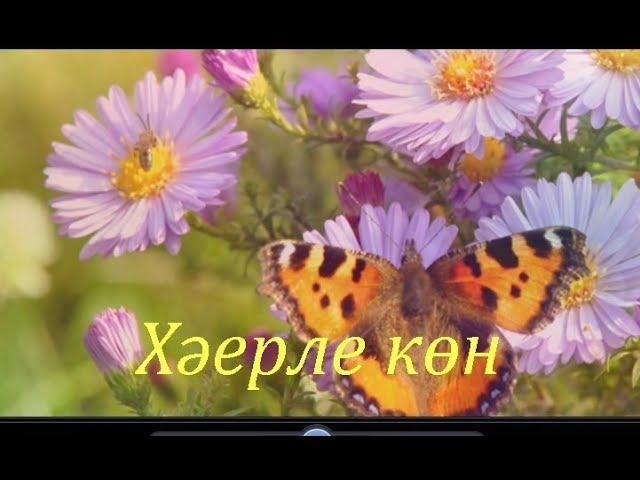 Хэерле иртэ хам хэерле кон сезгэ