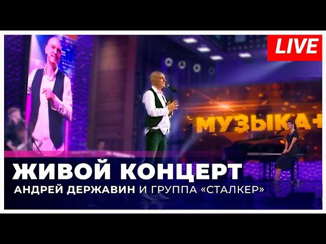 Андрей Державин - live на Звезда ТВ