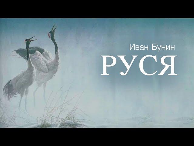 «Руся». И. Бунин. Читает Владимир Антоник. Аудиокнига