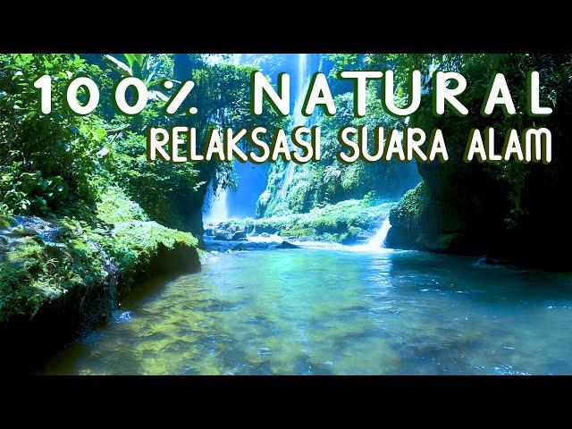 RELAXATION OF NATURAL SOUNDS OF BIRDS AND WATERFALLS SOUNDS IN THE FOREST