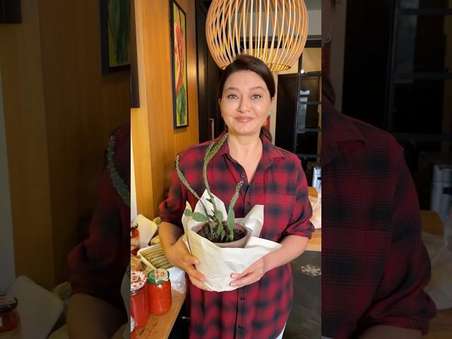 Canım kaynanam bana özel hediye “kaynana dili” göndermiş #nurgülyeşilçay