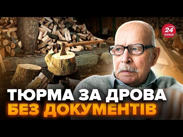 СКАНДАЛЬНИЙ закон! Українців ШТРАФУВАТИМУТЬ за ДРОВА. Готуйтесь до кримінальної справи