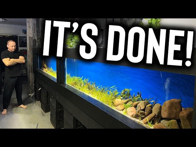 My 16 foot long aquarium got fully planted! The king of DIY