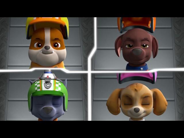 Paw Patrol: Ready Race Rescue | Team | Paramount Pictures UK