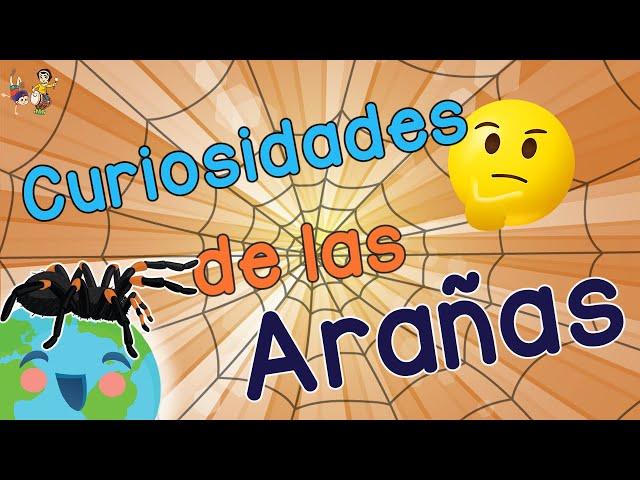 Curiosidades de las Arañas: Cuántas patas tiene una araña? (Videos Educativos para Niños)