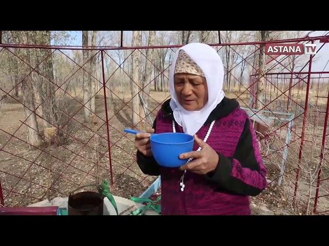 Ғажайып Қазақстан. Жамбыл облысы, Тұрар Рұсқұлов ауданы (04.05.2019)