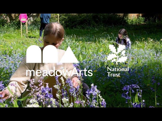 The making of Wild Imagination (2024) by Sarah Taylor Silverwood | National Trust Croome Court