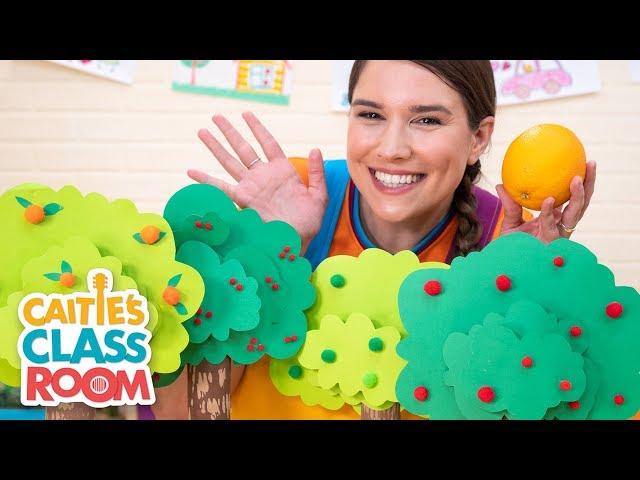 Caitie's Classroom Live  - Trees! | Preschool At Home