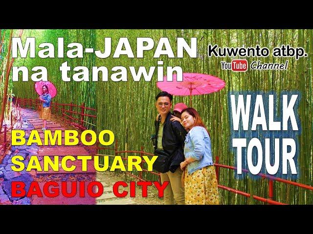 Mala-Japan na Tanawin | Bamboo Sanctuary | Baguio City