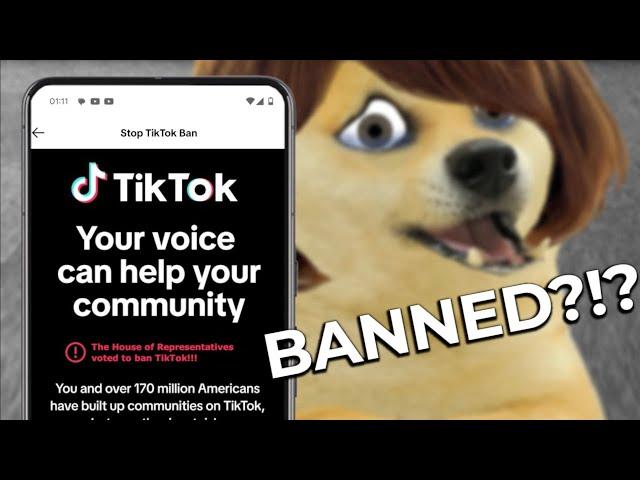 Lil doge and the TikTok ban