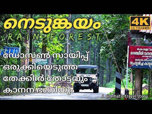 Nedumkayam Rain forest Nilambur