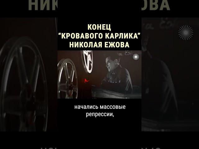 Как глава НКВД Ежов разозлил Сталина #shorts