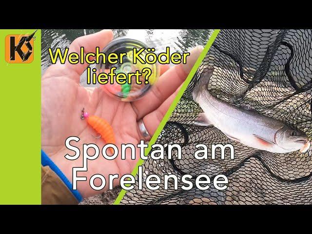 Spontan am Forellensee - Welcher Köder fängt? - Ultra Light Forellenangeln