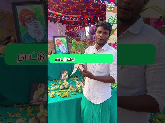 ஒரு செடி போதும் 1 மூட்டை வரை காய்கள் காய்க்கும் வாள் அவரை #shorts  #Countryseeds #beans #vegetables