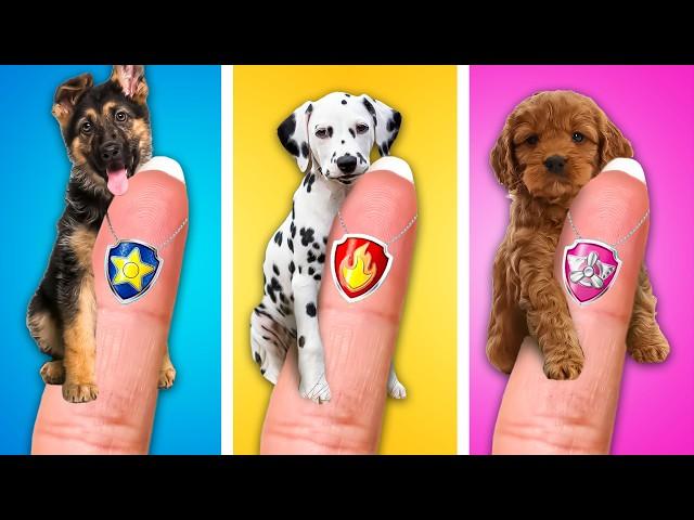 Save This Little Puppy! *We Adopted Paw Patrol* by LaLaZoom!