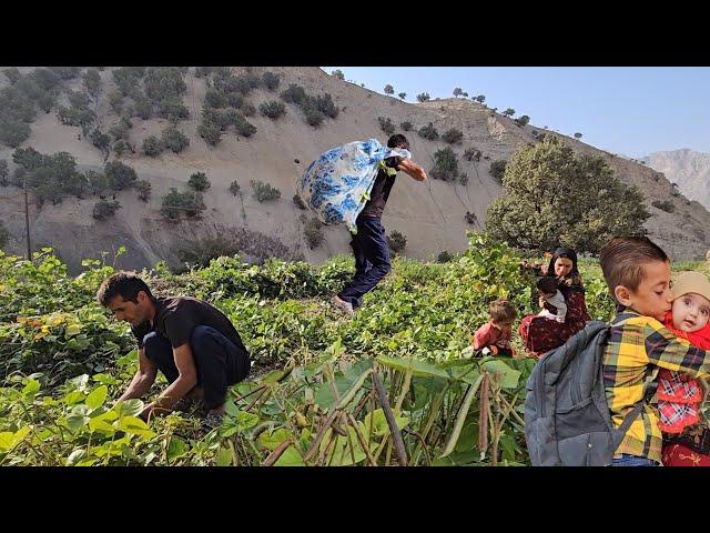 Rural family.  Babak spent a busy day in his field and garden #vlogvideo