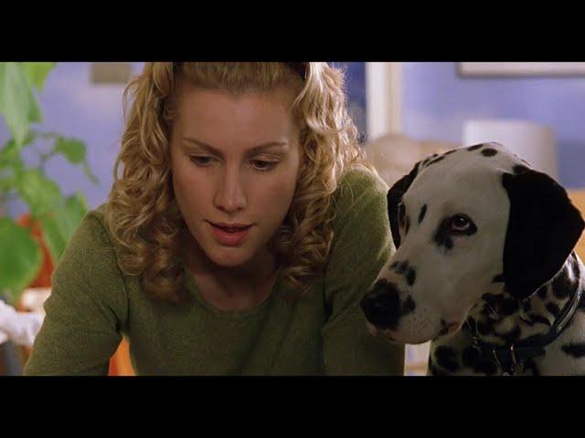 102 dalmatians (2000) - dottie gives birth