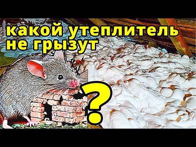 Какой утеплитель не грызут мыши ?