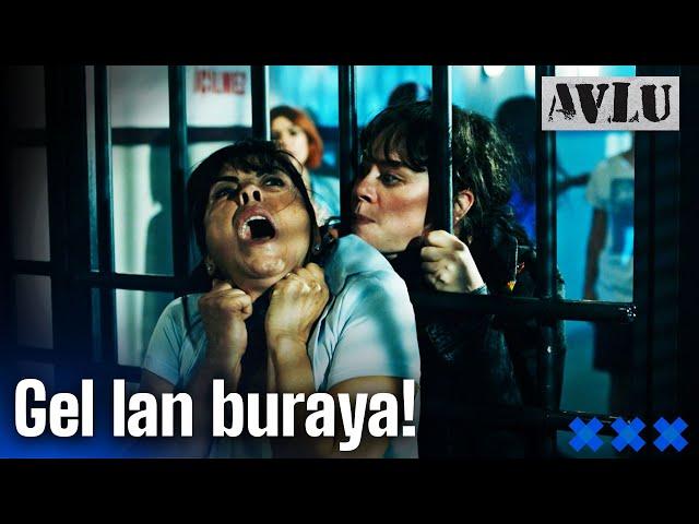 Gel Lan Buraya!  | Avlu