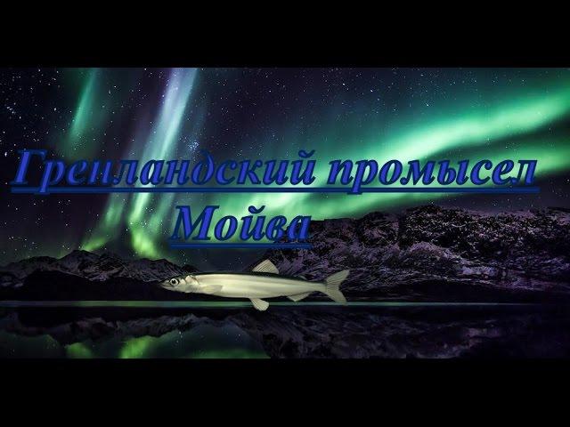 Русская рыбалка 3.99. Гренландский промысел. Мойва