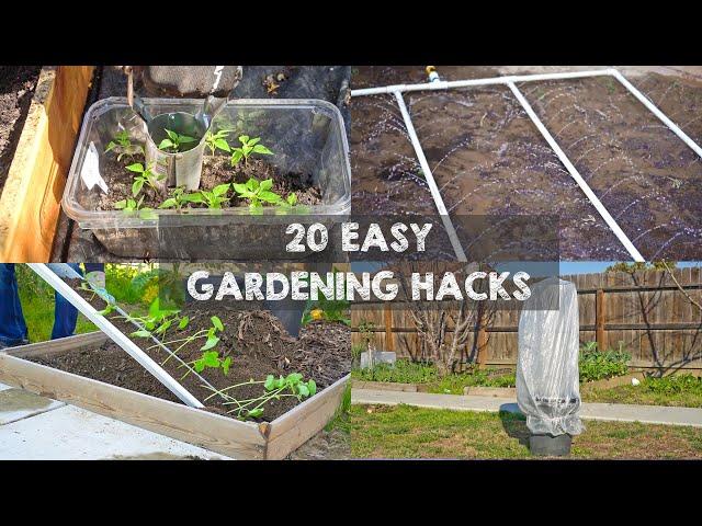 20 Gardening Hacks to Must Know When Starting Gardening