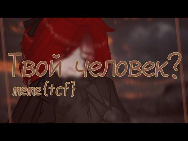 ~Meme~ ["твой человек"]×{TCF/TOTCF/ЯСГУ}~