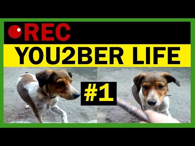 YOU2BER LIFE - СМЕШНАЯ СОБАКА