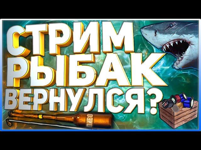 РР3 СТРИМ  Киты  и туры